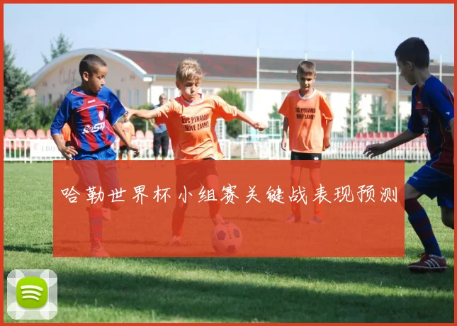 哈勒世界杯小组赛关键战表现预测